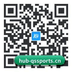 系统版 iOS 二维码